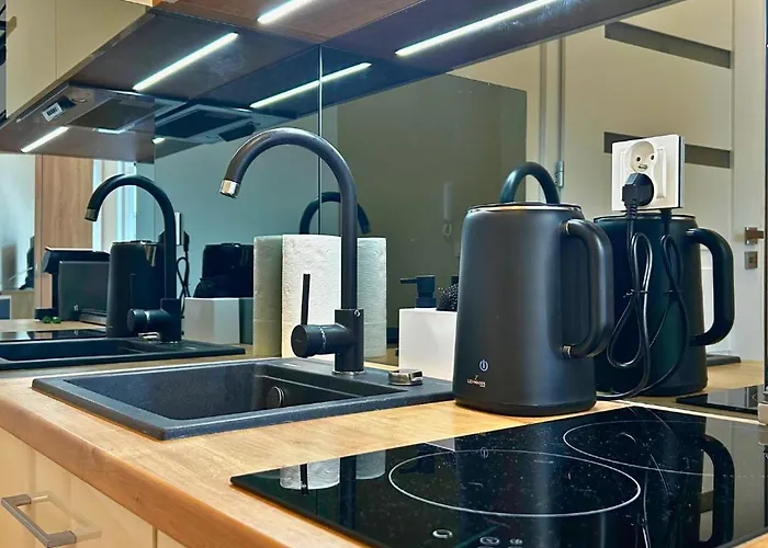 Gryf W Centrum Szczecina Parking By Stayly アパート