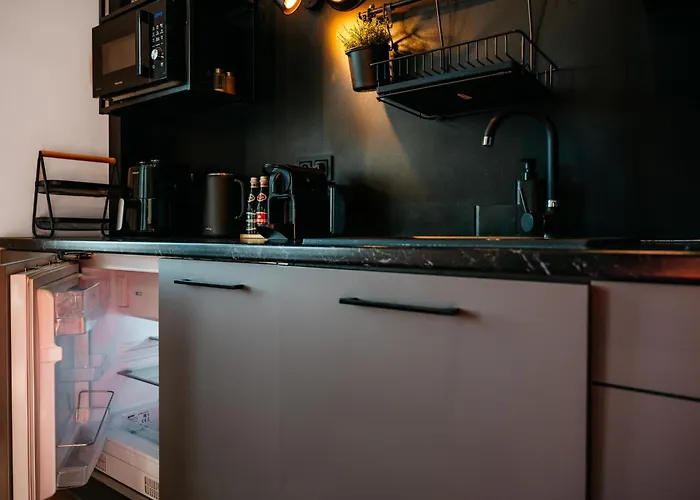 アパート Gryf W Centrum Szczecina Parking By Stayly シュチェチン